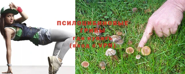 круглые Магас