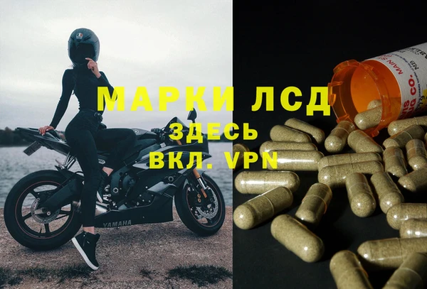круглые Магас