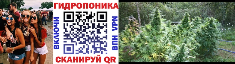 Бошки марихуана семена  Купить  Нягань 